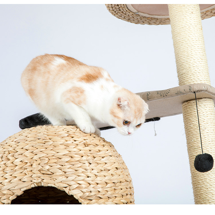 Good Quality Pet Furniture cat pet tree house  GL-0550PC